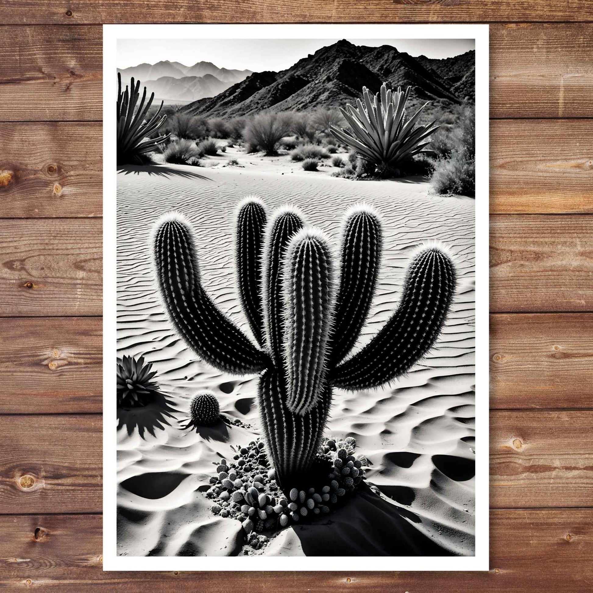 Black and white picture of cactus in the desert