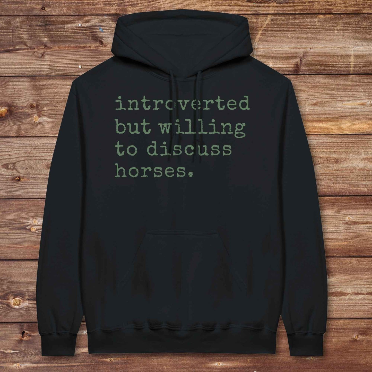 Introverted but Willing to Discuss Horses Hoodie