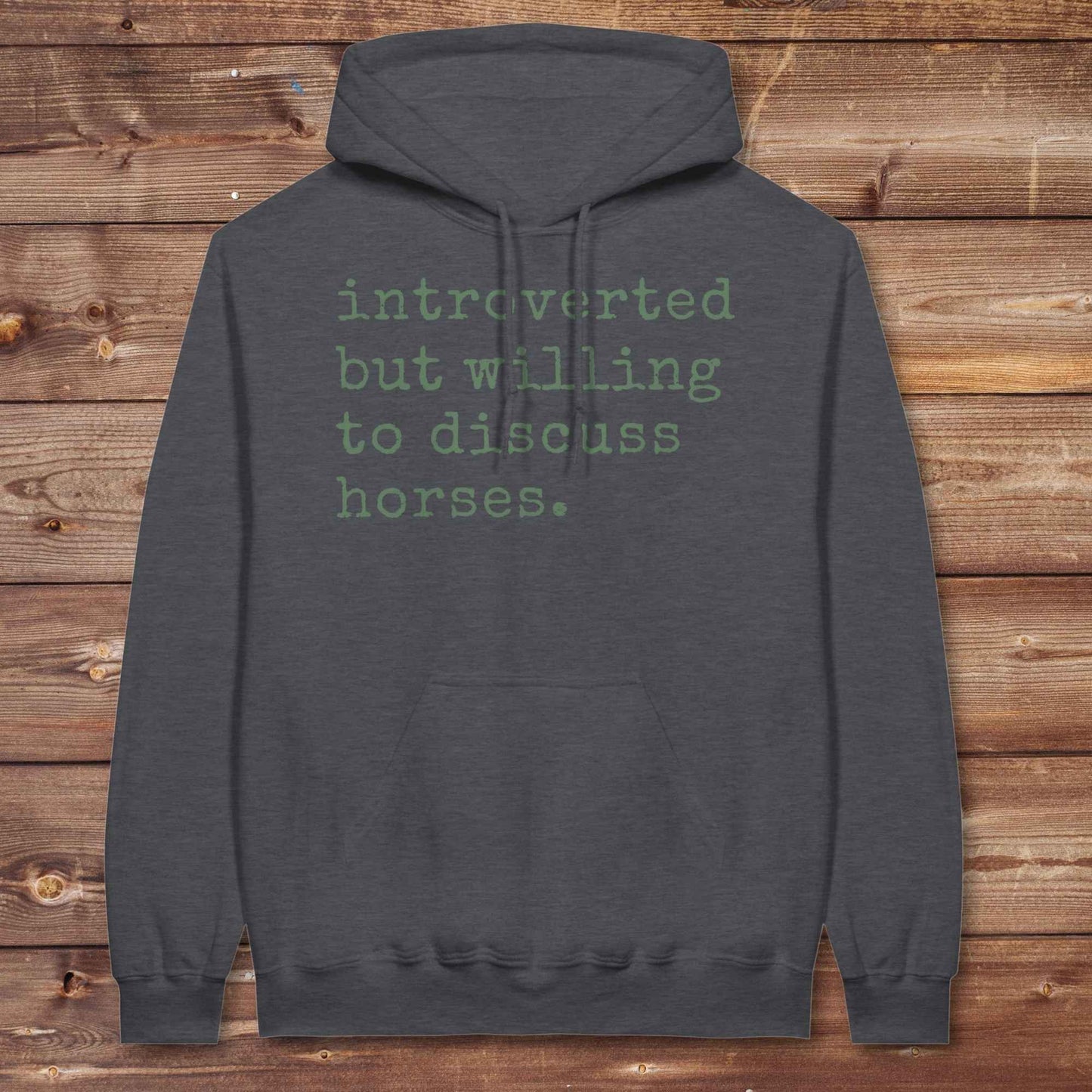 Introverted but Willing to Discuss Horses Hoodie