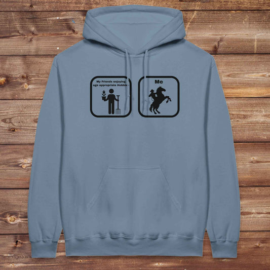 Age Appropriate Hobbies Hoodie