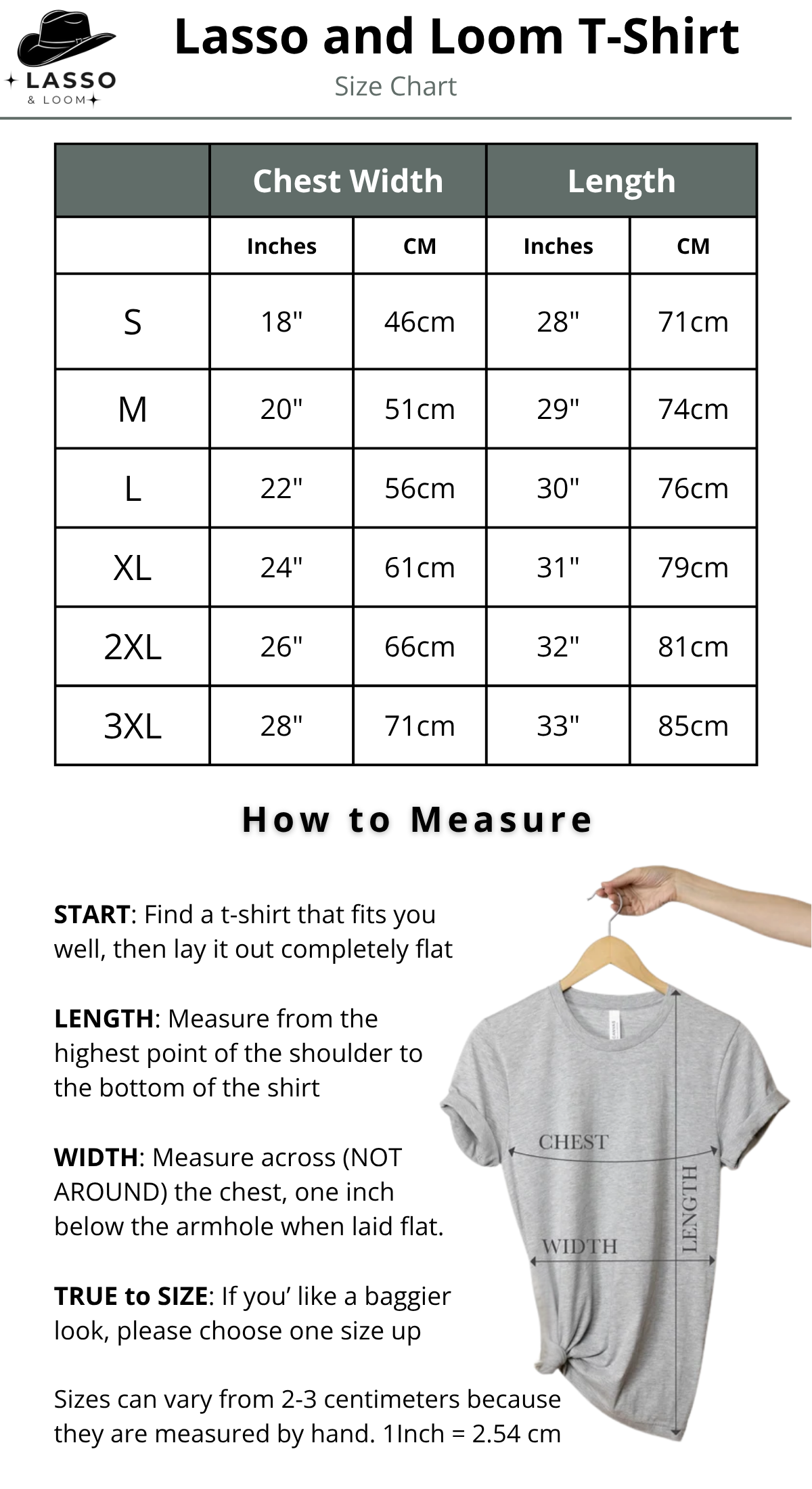Age Appropriate Hobbies T-Shirt
