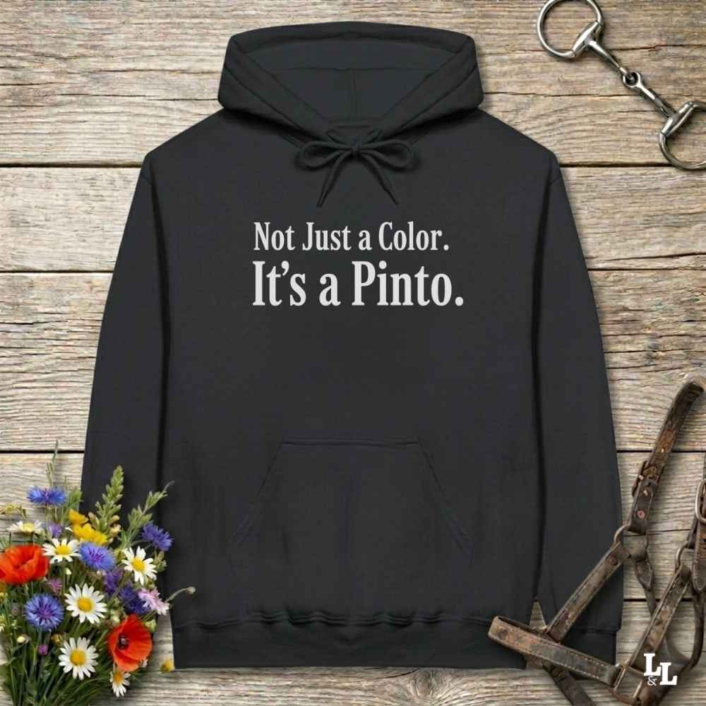 black Not Just a Color Hoodie for Pinto Horse Lovers, Cozy Barn Wear Hoodie for Horse Riders