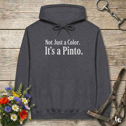 gray Not Just a Color Hoodie for Pinto Horse Lovers, Cozy Barn Wear Hoodie for Horse Riders