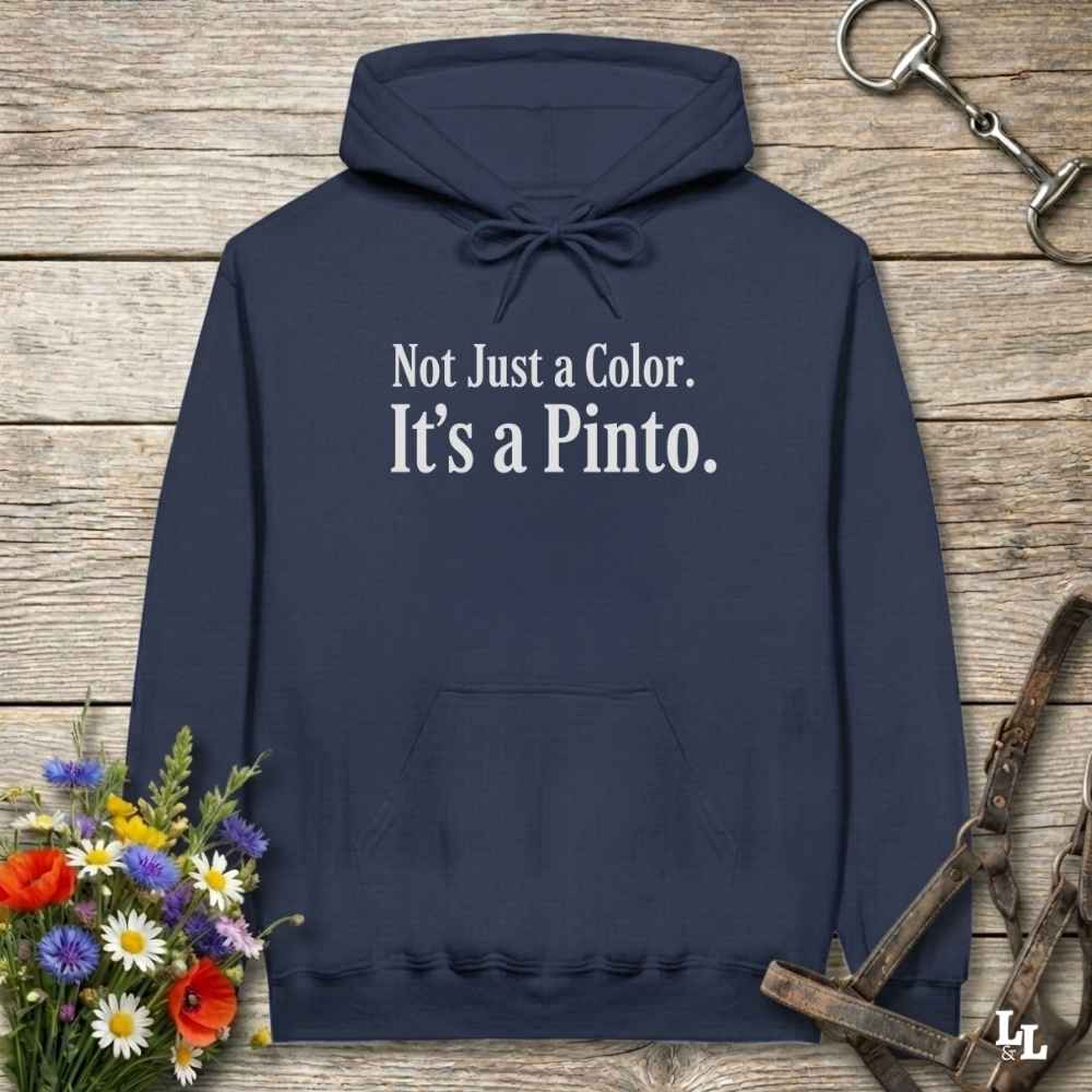 navy blue Not Just a Color Hoodie for Pinto Horse Lovers, Cozy Barn Wear Hoodie for Horse Riders