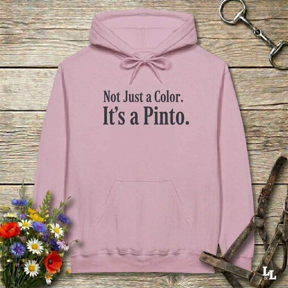 pink Not Just a Color Hoodie for Pinto Horse Lovers, Cozy Barn Wear Hoodie for Horse Riders