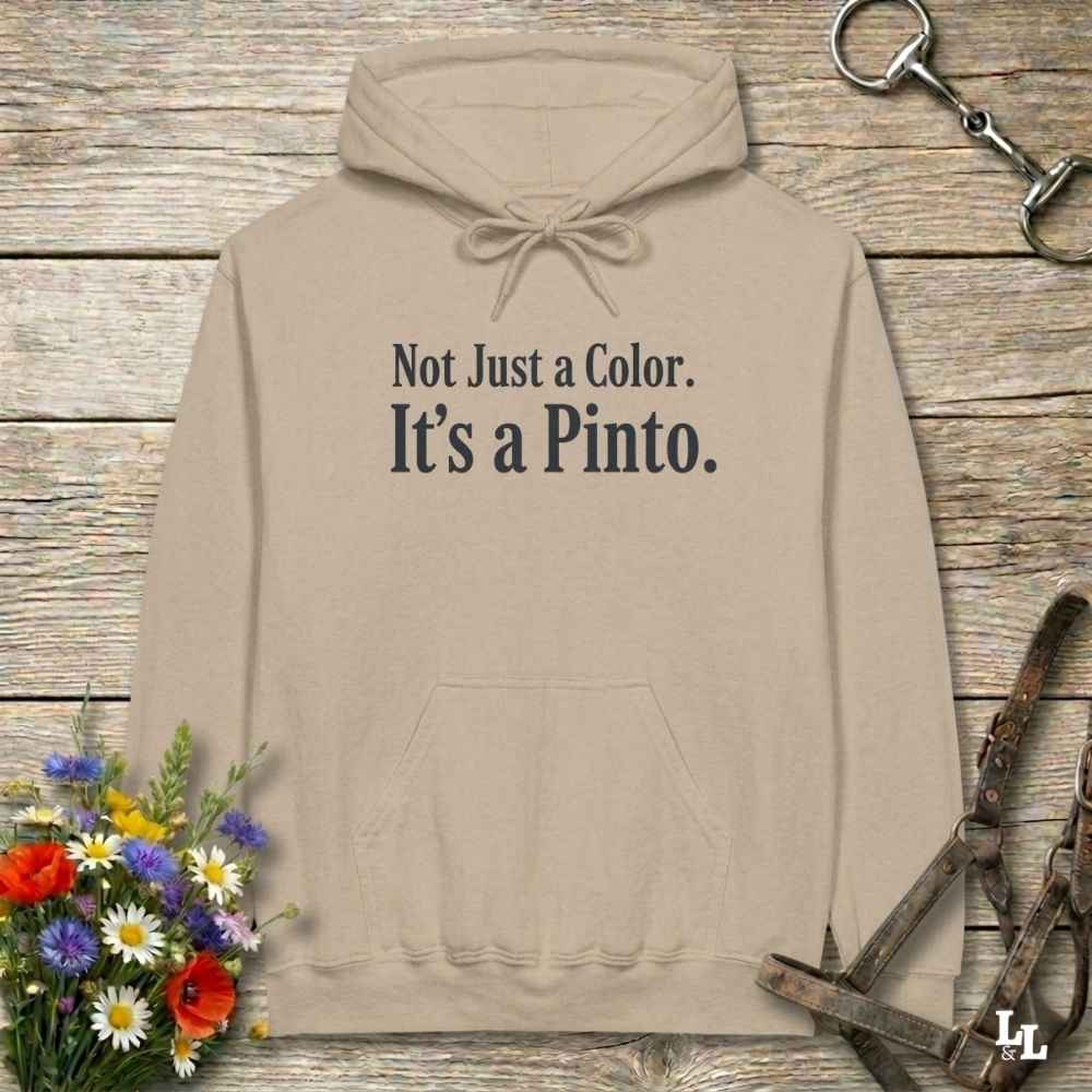 beige Not Just a Color Hoodie for Pinto Horse Lovers, Cozy Barn Wear Hoodie for Horse Riders