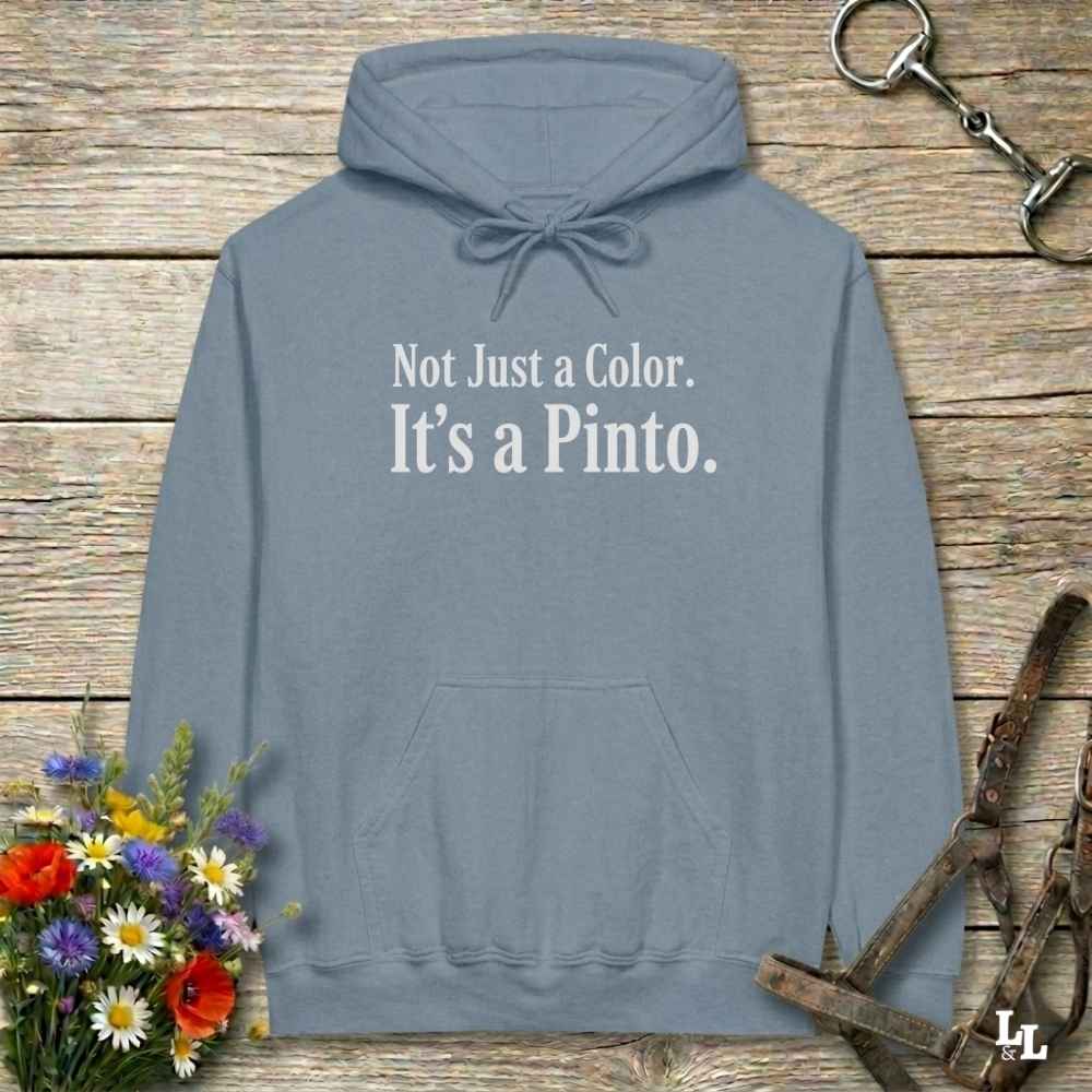 blue Not Just a Color Hoodie for Pinto Horse Lovers, Cozy Barn Wear Hoodie for Horse Riders