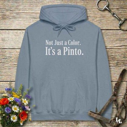 blue Not Just a Color Hoodie for Pinto Horse Lovers, Cozy Barn Wear Hoodie for Horse Riders