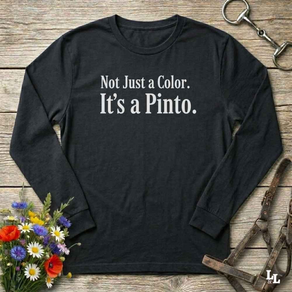 black Not Just a Color Long Sleeve Tee for Pinto Lovers, Trail Riding Tee