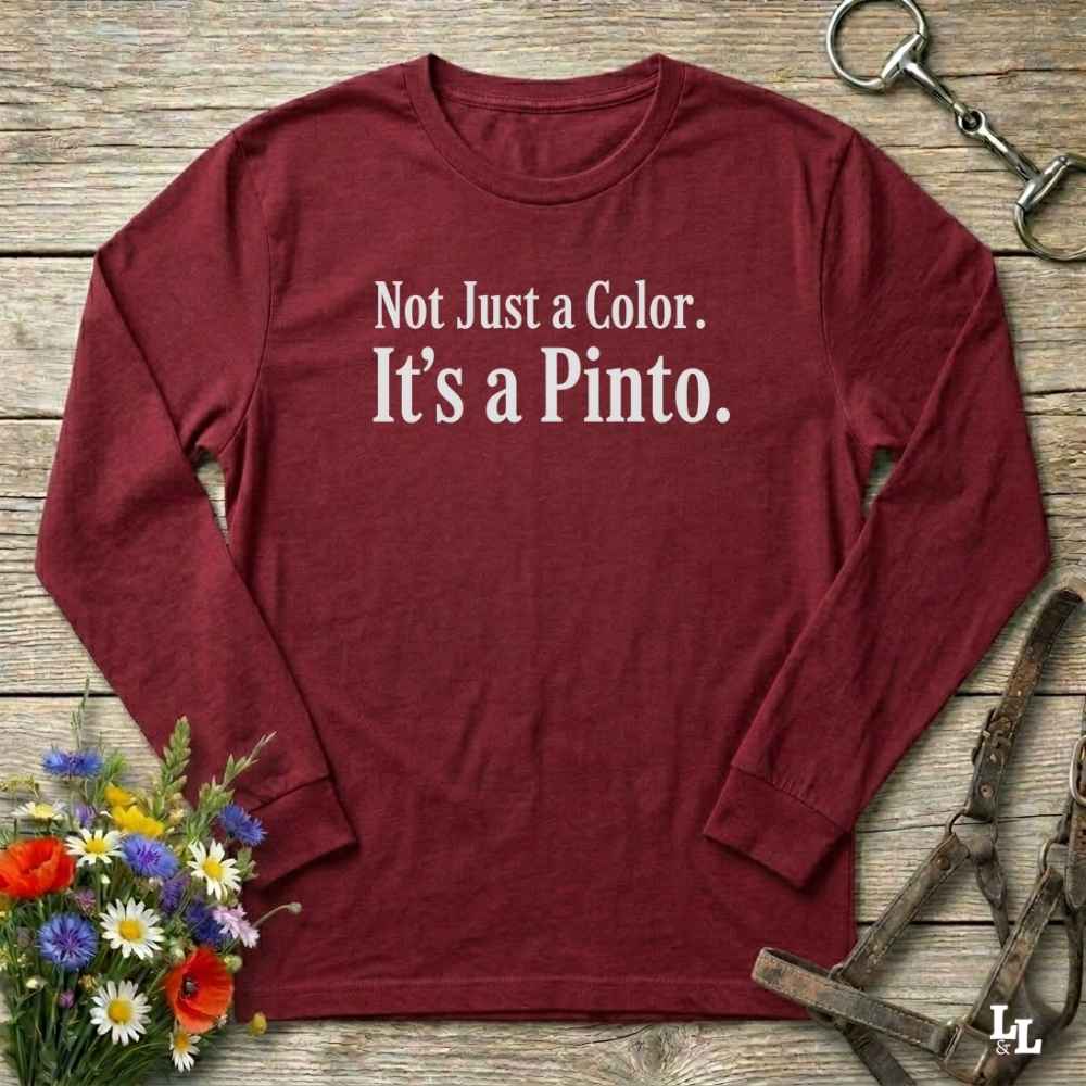 red Not Just a Color Long Sleeve Tee for Pinto Lovers, Trail Riding Tee