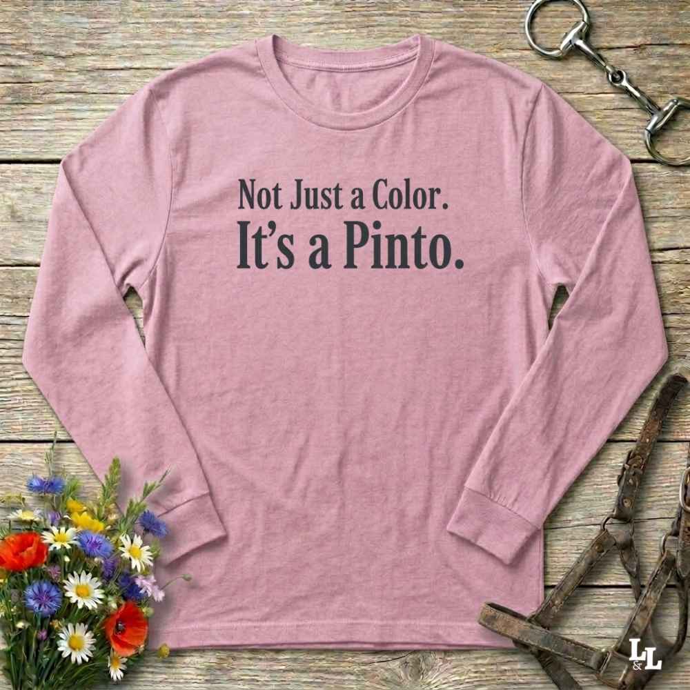 pink Not Just a Color Long Sleeve Tee for Pinto Lovers, Trail Riding Tee