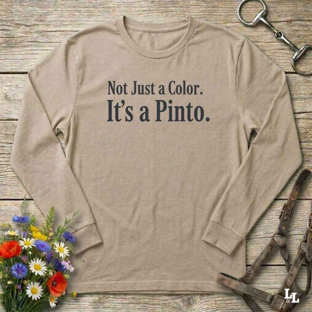 beige Not Just a Color Long Sleeve Tee for Pinto Lovers, Trail Riding Tee