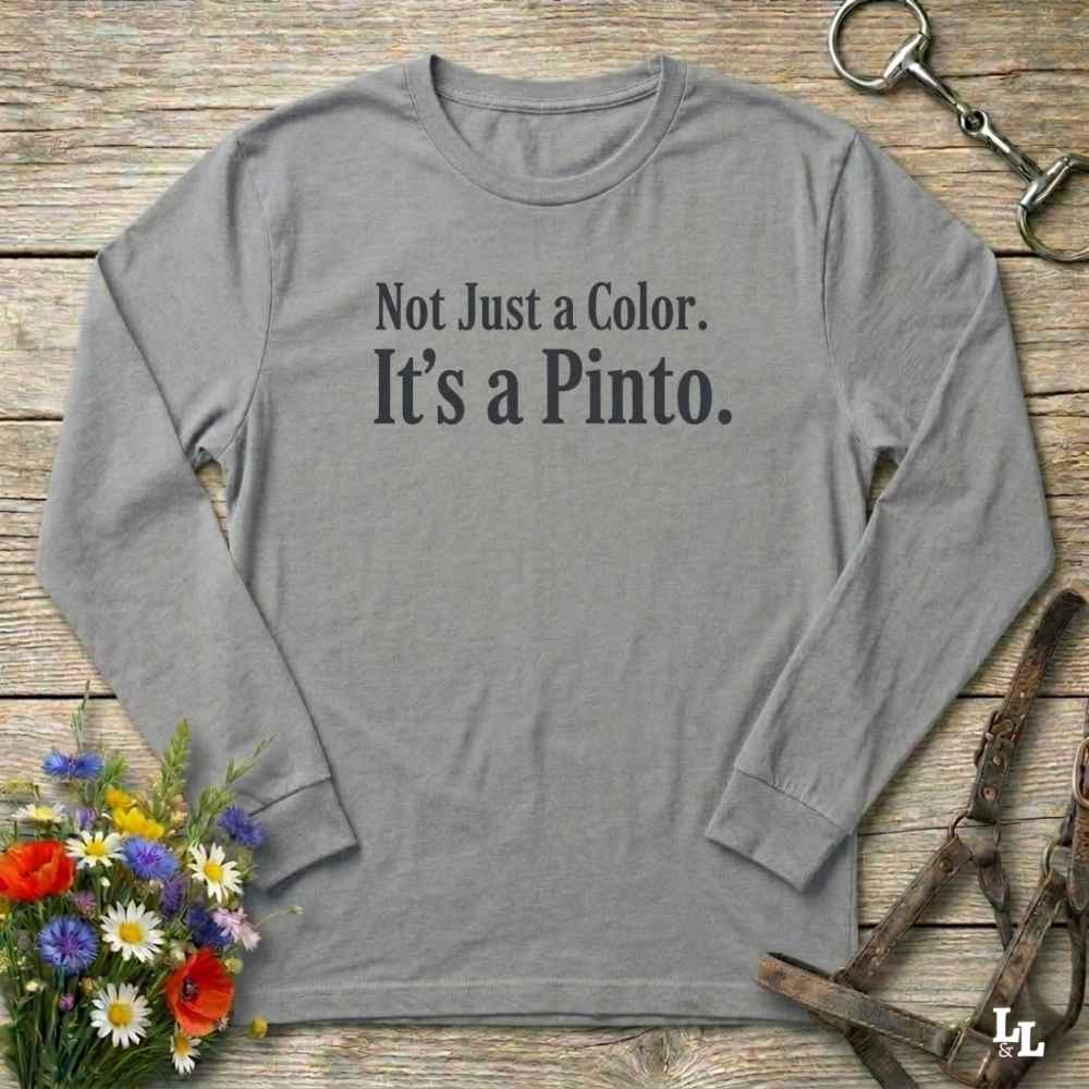 gray Not Just a Color Long Sleeve Tee for Pinto Lovers, Trail Riding Tee