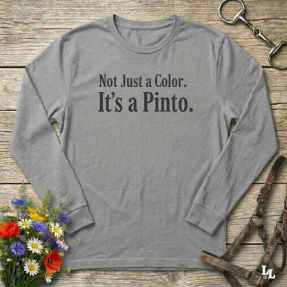 gray Not Just a Color Long Sleeve Tee for Pinto Lovers, Trail Riding Tee