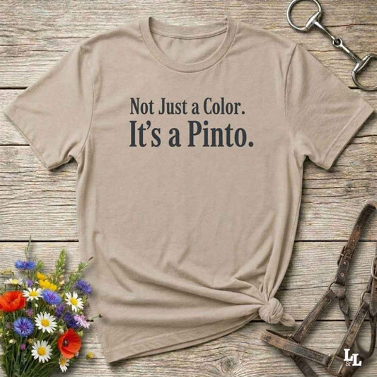 beige Not Just a Color T-Shirt for Pinto Horse Lovers, Trail Riding Tee for Horse Riders