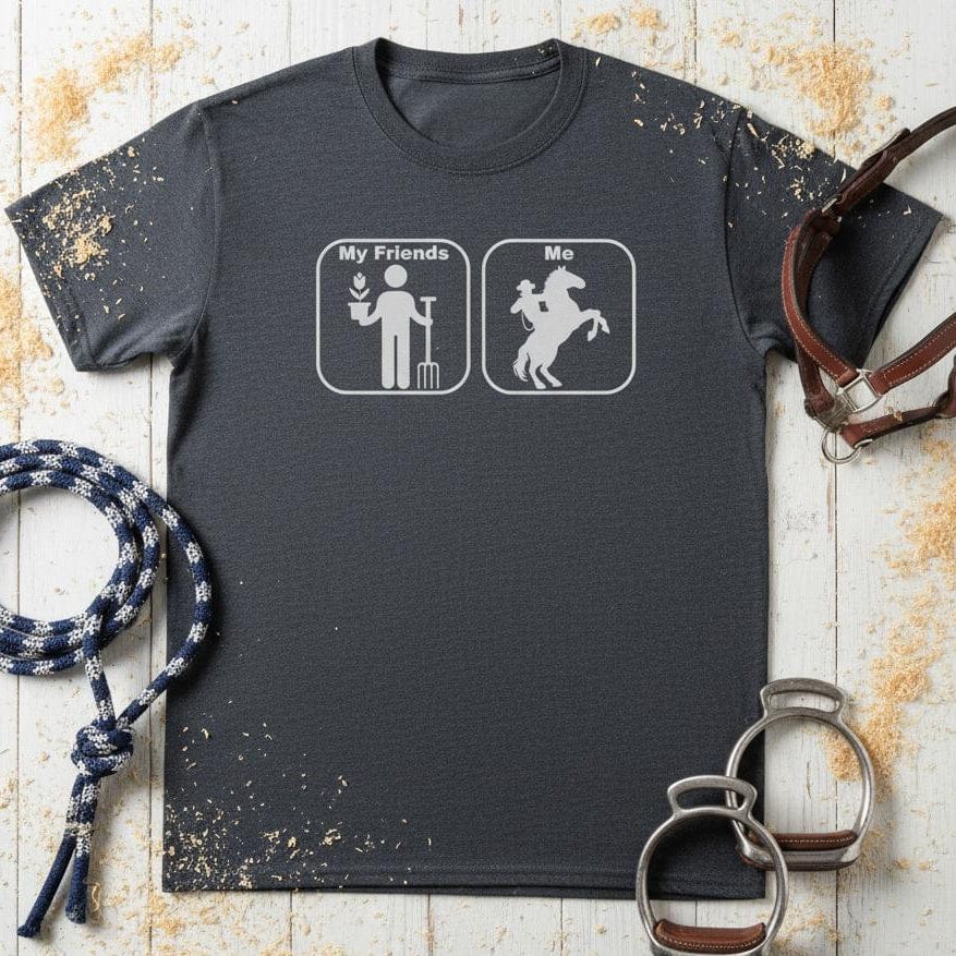 Flat Lay grey Age Appropriate T-Shirt Funny T-Shirt for Horse Lover, Western Tee Cowgirl Shirt